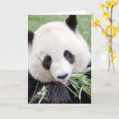 Wenskaarten Foto reuzenpanda. Panda geant. Kaart (Gele Bloem)