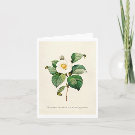 Wenskaarten - Japanse Camellia Kaart (Voorkant)