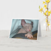 Wenskaarten Kaart (Gele Bloem)