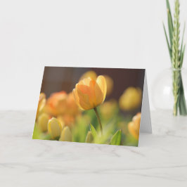 Wenskaarten - Spring Yellow Floral Kaart