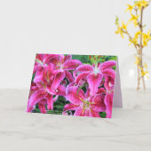 Wenskaarten van Stargazer Pink Oriental Lilies Kaart (Gele Bloem)