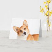 Wenskaarten van Welsh Corgi (Pembroke) Kaart (Gele Bloem)