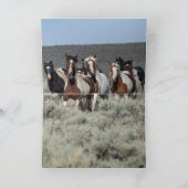 Wenskaarten van wilde paarden - Taboe leidt weg Bedankkaart (Binnen)