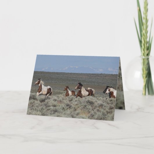 Wenskaarten van wilde paarden - Taboe leidt weg Bedankkaart (Voorkant)