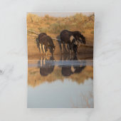 Wenskaarten van wilde paarden - Wilde familie in O Bedankkaart (Binnen)