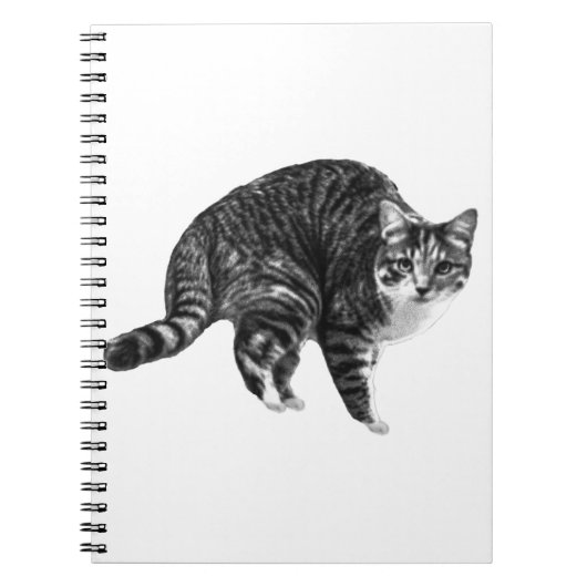 Wenslijst Tabby Pagina's Notitieboek (Voorkant)