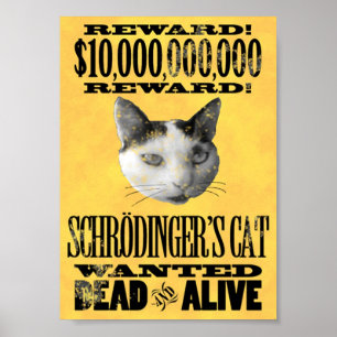 WENST: HET CAT-poster VAN SCHRODINGER Poster