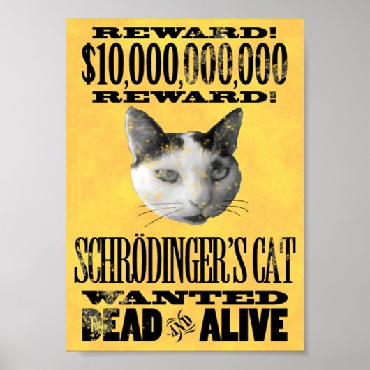 WENST: HET CAT-poster VAN SCHRODINGER Poster (Voorkant)