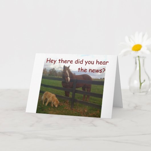 WENST OM EEN ZEER ***HAPPY BIRTHDAY** KAART (Kleine Plant)