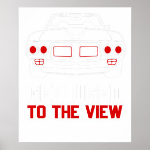 went wennen aan de view firebird poster