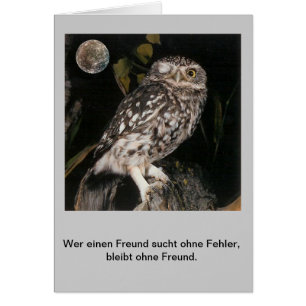 Wer einen Freund sucht......