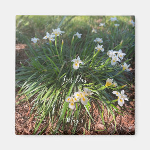 Wereld2Celebraat: Iris Day Magneet