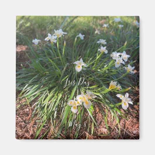 Wereld2Celebraat: Iris Day Magneet (Voorkant)