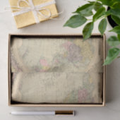 Wereld 10 tissuepapier (Geschenk)