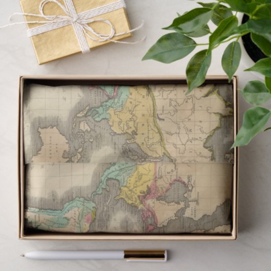 Wereld 6 tissuepapier (Geschenk)