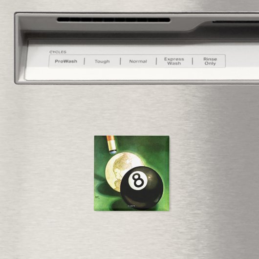 Wereld als blikvanger magneet (Insitu (Vaatwasser))