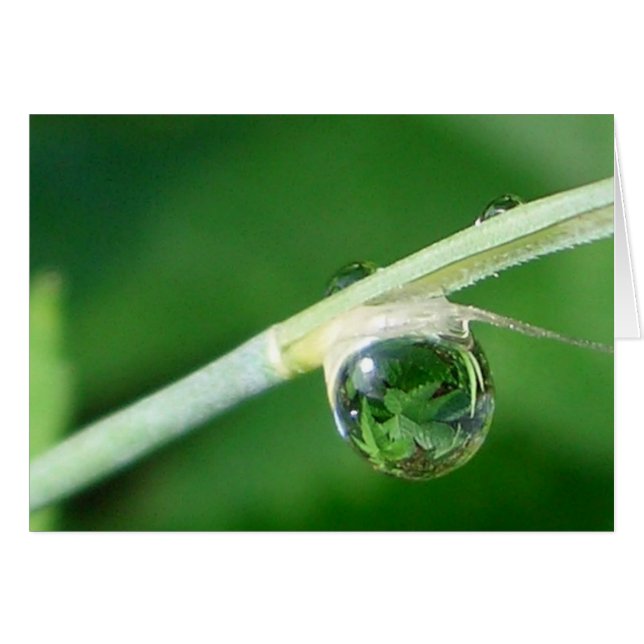 Wereld in een druppeltje (Voorkant Horizontaal)