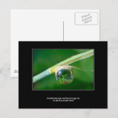 Wereld in een druppeltje briefkaart (Voorkant / Achterkant)