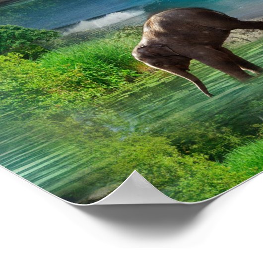 Wereld oceanen en rivieren, meren en sport poster (Hoek)