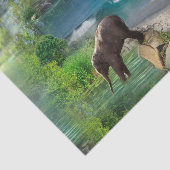 Wereld oceanen en rivieren, meren en sport tissuepapier (Detail)