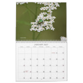 Wereld van Bugs en Arachnids Creepy Crawly Kalender (Jan 2027)