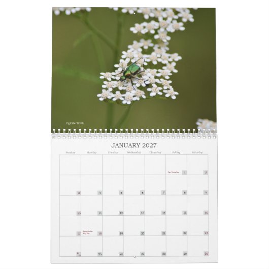 Wereld van Bugs en Arachnids Creepy Crawly Kalender (Jan 2027)