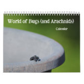 Wereld van Bugs en Arachnids Creepy Crawly Kalender (Hoes)