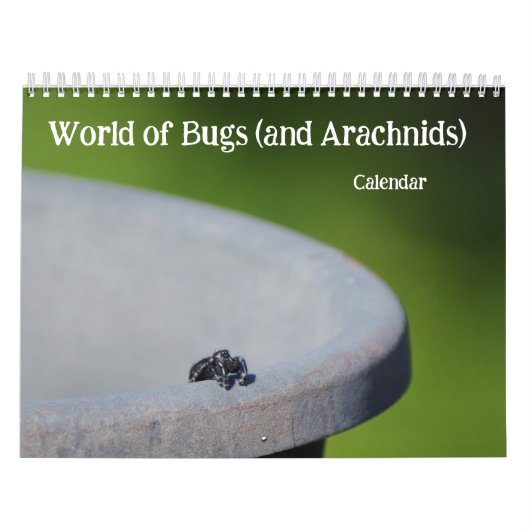 Wereld van Bugs en Arachnids Creepy Crawly Kalender (Hoes)