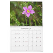 Wereld van Bugs en Arachnids Creepy Crawly Kalender (Feb 2026)