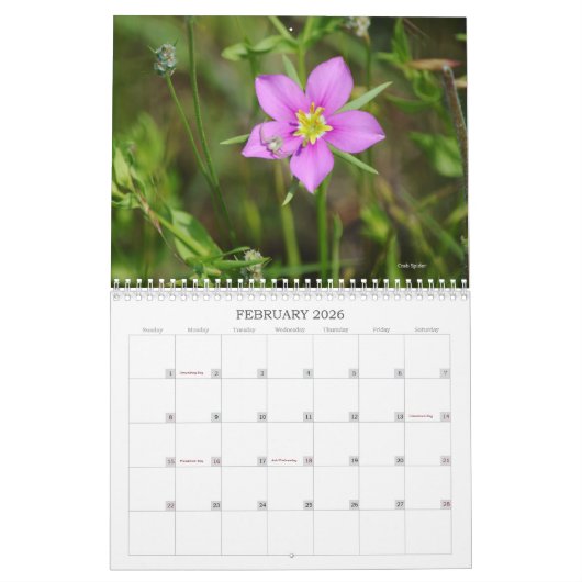 Wereld van Bugs en Arachnids Creepy Crawly Kalender (Feb 2026)