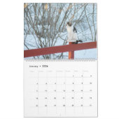 Wereld van de Kattenkalender Kalender (Jan 2026)