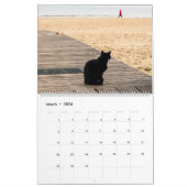 Wereld van de Kattenkalender Kalender (Mar 2026)