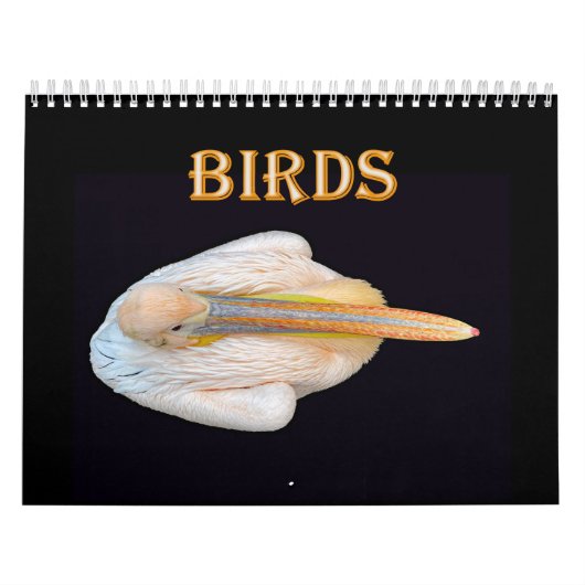 wereld vogels kalender (Hoes)