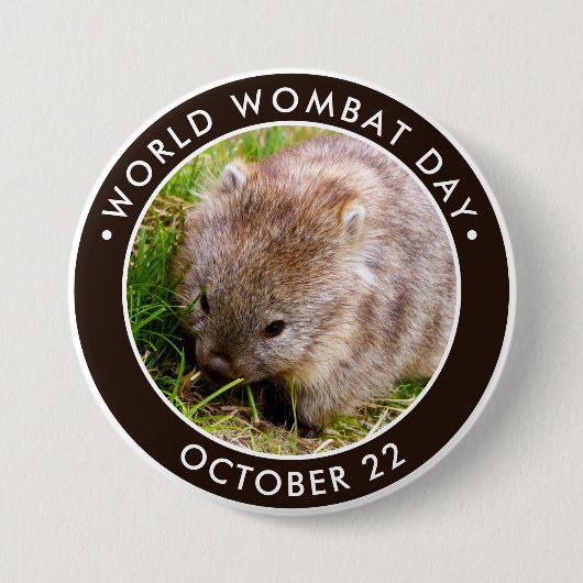 Wereld Wombat Dag, schattige baby wombat Ronde Button 7,6 Cm (Voorkant)