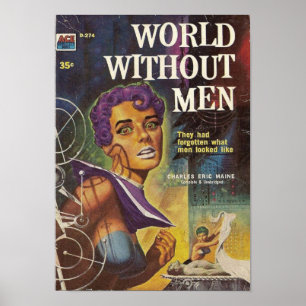 Wereld zonder Mannen Poster