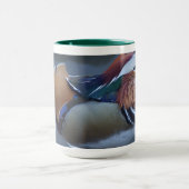 Wereldberoemd centraal park Mandarin Duck Mok (Midden)