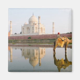 Wereldberoemde Taj Mahal tempel begraafplaats bij Magneet