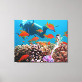 Wereldberoemde zeemeermin. canvas afdruk (Voorkant)