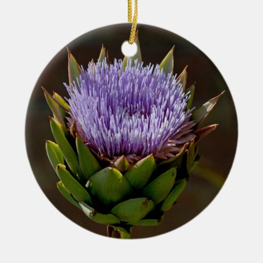 Wereldbol Artichoke, Cynara Cardunculus, in bloem. Keramisch Ornament (Voorkant)