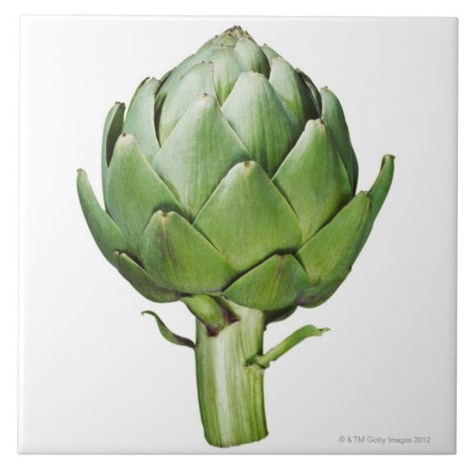 Wereldbol Artichoke op Witte Achtergrond Uitgeknip Tegeltje (Voorkant)