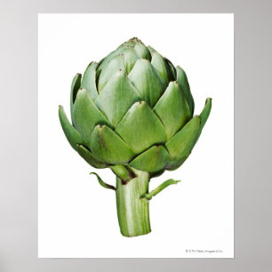 Wereldbol Artichoke op Witte Achtergrond Uitgesned Poster