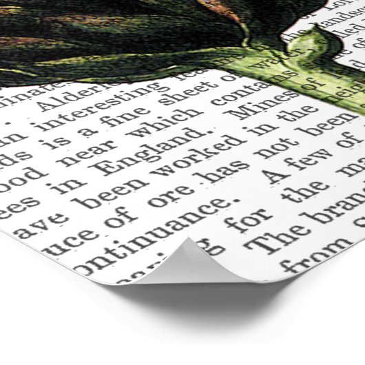 Wereldbol Artichoke Print (Hoek)