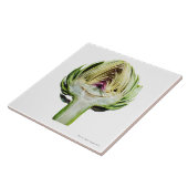 Wereldbol artisjok half afgesneden tegeltje (Zijkant)