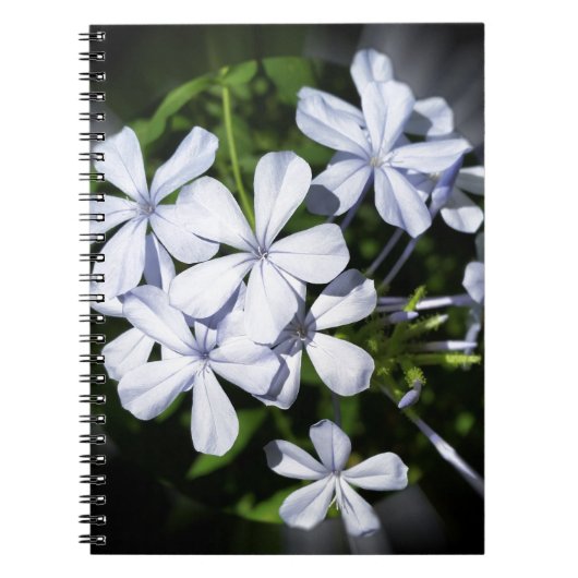 Wereldbol bloemen notitieboek (Voorkant)