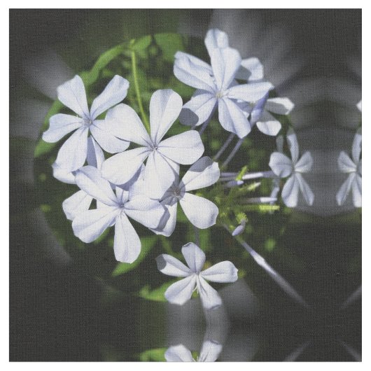 Wereldbol bloemen stof (Close Up)