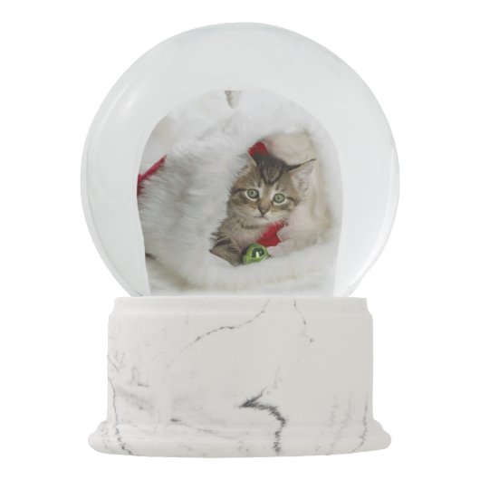 Wereldbol met kerstkat-sneeuw sneeuwbol (Achterkant)