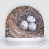 Wereldbol van Cardinal Eggs Snow Sneeuwbol (Voorkant)