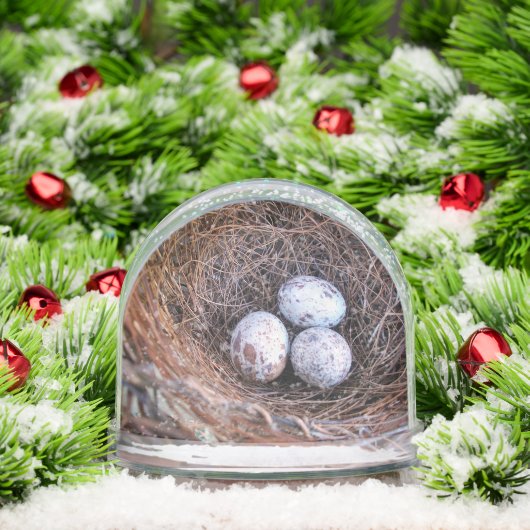 Wereldbol van Cardinal Eggs Snow Sneeuwbol (Kerstmis)