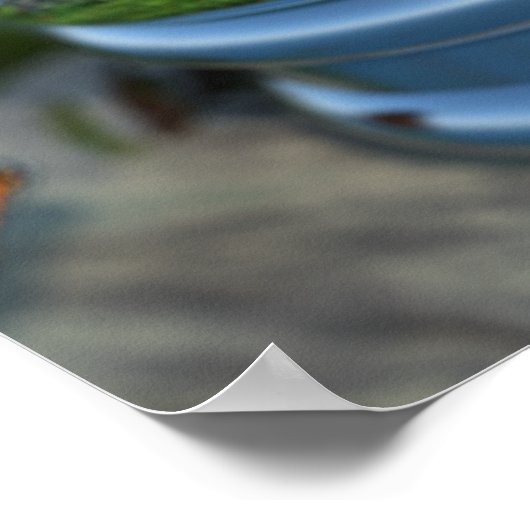 Wereldbol voor vlinder afdrukken poster (Hoek)