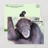 Werelddag van de chimpansee - 14 juli briefkaart (Voorkant / Achterkant)
